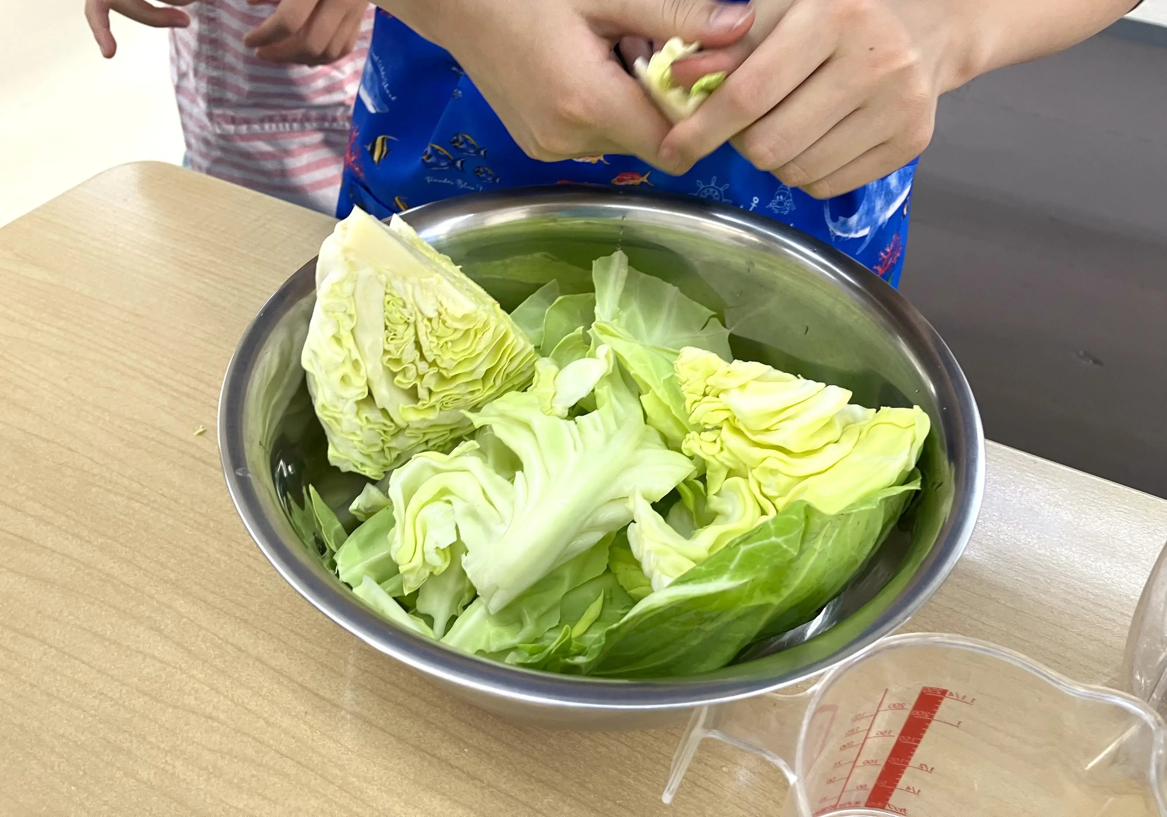 キャベツを手でちぎっている様子