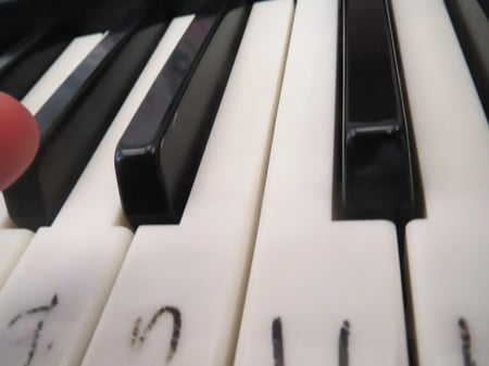 お子さんが撮影した写真、キーボードの鍵盤