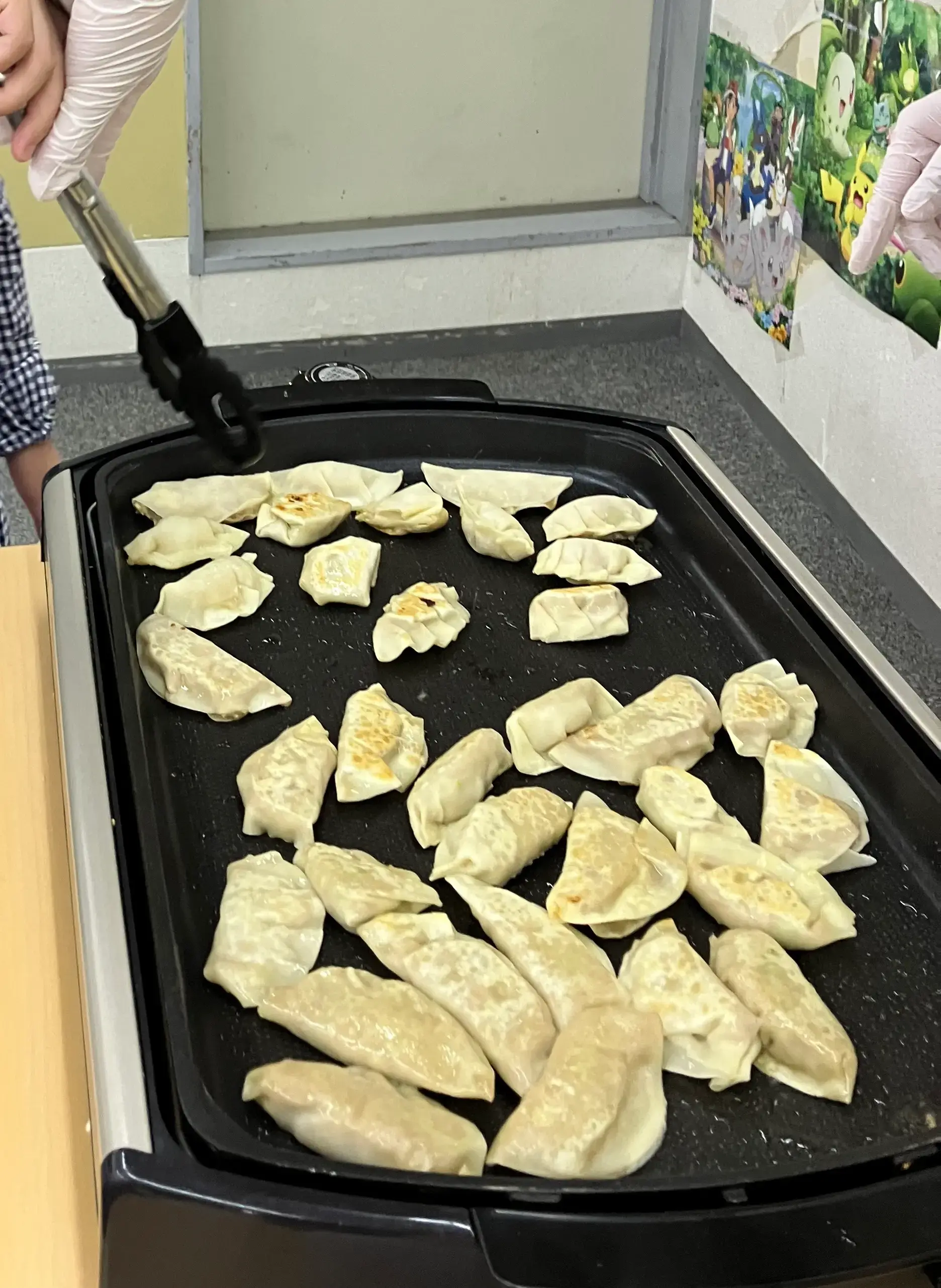 ホットプレートで餃子を焼いている様子