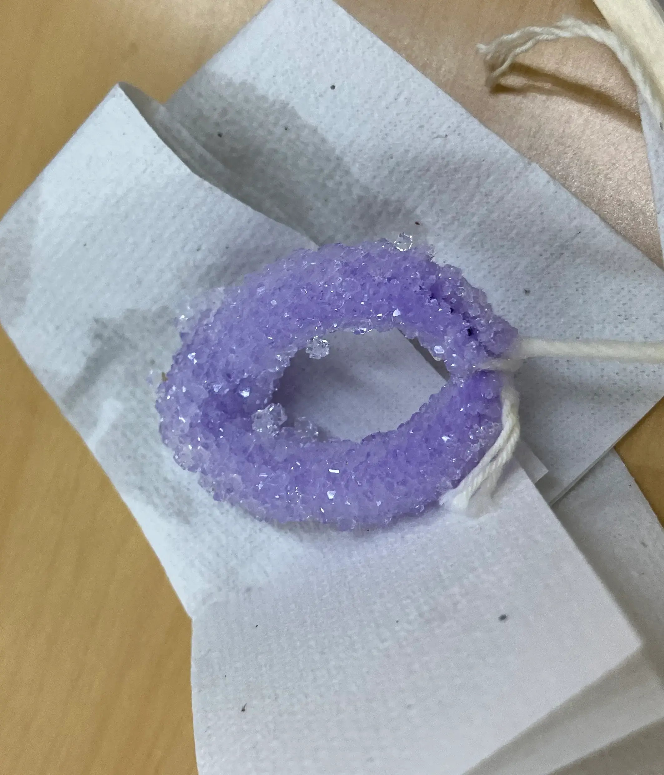 実験で生成されたミョウバンの結晶の様子